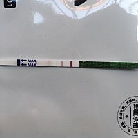 今天是大姨妈推迟的第11天 早上测了一下 今天是大姨妈推迟的第11天 ，刚刚测了一下 瞬间秒红  过两天再...