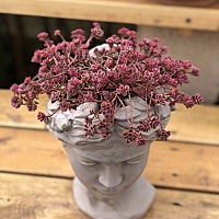 这头发烫的怎么样啊🙈