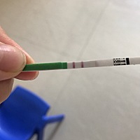 样子是在排卵吗