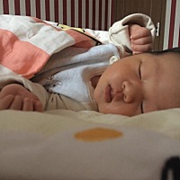 小可爱每天睡大觉💋