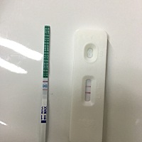 居然有了，一点感觉也没有啊，简直不敢相信