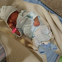 白天一直睡。怎么弄都睡的香，晚上就不睡了，小家伙