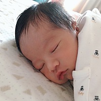 阿童木第十天咯