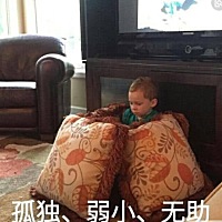 天，该怎么办呀，如果这次不能怀孕，我与他的缘分真的算是走到了尽头，弱小无依。