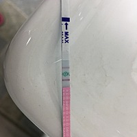 这个是在排卵吗？