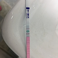 这个是在排卵吗？9.12号来的大姨妈，10.6日才测试到有红色杠杠，之前一直没测试到