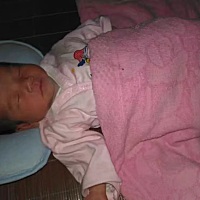 大宝和二宝像嘛