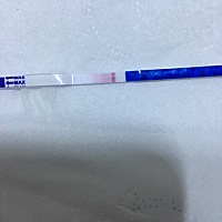 孕妈妈帮我看看，是不是怀孕了，5天测试的