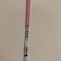 是不是排卵期了