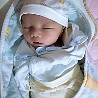 坐月子怎么吃才能不发奶呀，汤都不敢喝，就吃些清淡的小菜。但还是奶胀的厉害。求指点