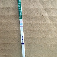 月经每个月都不准时！上次月经8-25号，正常9-25应该来的！到现在没来！现在乳房一直胀痛！早上用早早孕...