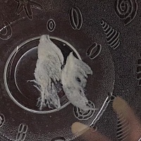 孕期必备燕窝😍