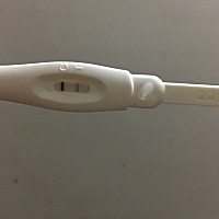 上月末次月经是9月十号今天还没来，请问姐妹们这是怀孕了吗？谢谢🙏