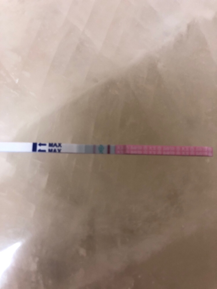 排卵试纸
都是今天测的