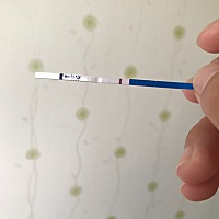 各位帮忙看看是不是还是白板啊，四号排卵，十七号早晨测的