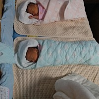 宝宝出生第五天，早产 35周剖腹产，俩男宝儿都是四斤多点，除了体重轻点其他都正常。光看脸为妈真是看不...