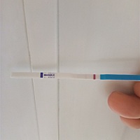 末次24号，终于看到希望了