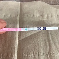 月经推迟8天早早孕大白板，但是排卵试纸是双杠，真的很纠结，本来月经不规律在吃中药调理，这次月经推迟...