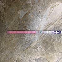 这是确定有了吗？