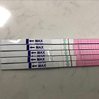 末次1号，4号排卵，4到6号期间排卵试纸测试两道杠，3次体内，今天大姨妈日子没来，但是排卵试纸两道杠，...