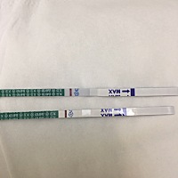 第一条是昨晚测的，第二条是今天早上测的，刚刚看第二条有点印子，还是眼花，希望能真怀上，明天是例假期