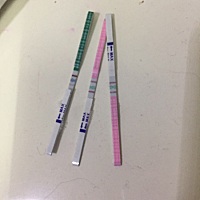 两个排卵，一个早早孕？这是怀了吗？