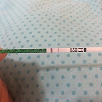 今早又测了一次，还有四天才到例假期