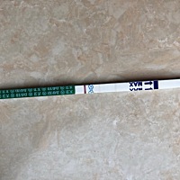 体温升高第十二天测的，有了吗？