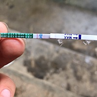 明天才来姨妈，今天想买来试试看好像是两条杠，因为尿液不多所以看起来第一条也不是很清楚