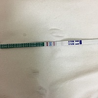 请问这是怀孕了吗 验的晨尿