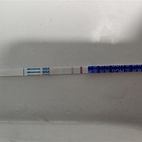 这样是怀孕了吗？