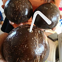 听说椰子可以取胎毒，特意去买的🌴☺️