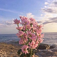 宝妈们，真的是希望你们能看下我这个帖子，说实话是个求助帖，我今年22岁，10.5号因为子宫内膜太厚了做...