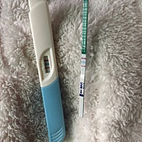 请亲们给我看看，两次检测两天，这个是怀起了吗？？谢谢