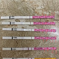 宝妈们快帮我看看这是怀孕了吗？我上个月24号来大姨妈 软件测试是10.11号排卵 但是我一直没测到排卵 6和...