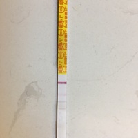 12、13号同房，今天27号测出来的。是有戏么？