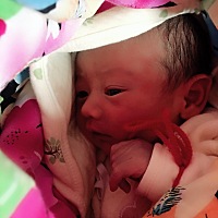 40➕3顺产七斤六两  男宝宝👶 二胎顺产真是挺快的、晚上九点多宫缩频繁去医院检查开三指、十一点上产...