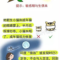 图说敏感期（一） 教育家蒙台梭利提出了“儿童成长的敏感期”这个概念。敏感期是在儿童成长过程中，出于...