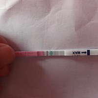 昨天在医院查排卵左侧是22x16mm右侧是20x21mm 医生告诉我 昨晚不就今晚 排卵 刚刚我用排卵试纸检测了一...