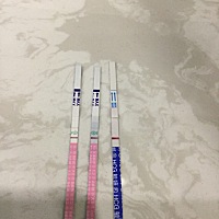 月经过了两天、这几天感觉吃完一会就饿、试纸还是一条杠、21号拍的卵、平时月经很准、有可能怀孕么（粉...