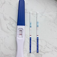 姐妹们、看看我这怀孕没、左一先测的、然后又测了个中间的过了会两条杠、过了一会又试了个一条杠、月经...