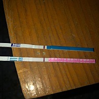 上面是早早孕，下面是排卵。这个是表示怀孕了吗？不是都说早早孕还不如排卵试纸灵敏吗？这个是怎么回事呀？