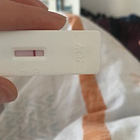 9月20号来的月经，10月至今没来京早刚测的为什么没怀孕？