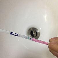 这样是不是排卵了。怀孕率高不高 很想要孩子