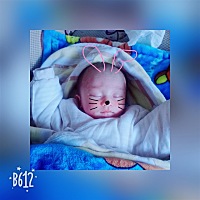 越来越漂亮啦  ☺