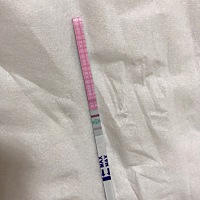 这是强阳吗，就是排卵日吗，我第一次测排卵