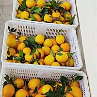 每天吃几个补充维生素