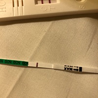 上个月生化流产了，这个月用5块钱的测试纸是两格用一块钱的就是一格，到底是有了还是没有啊？