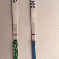 末次10.13 亲们帮我看看是怀孕了么