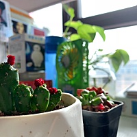 双十一各位朋友剁手了吗